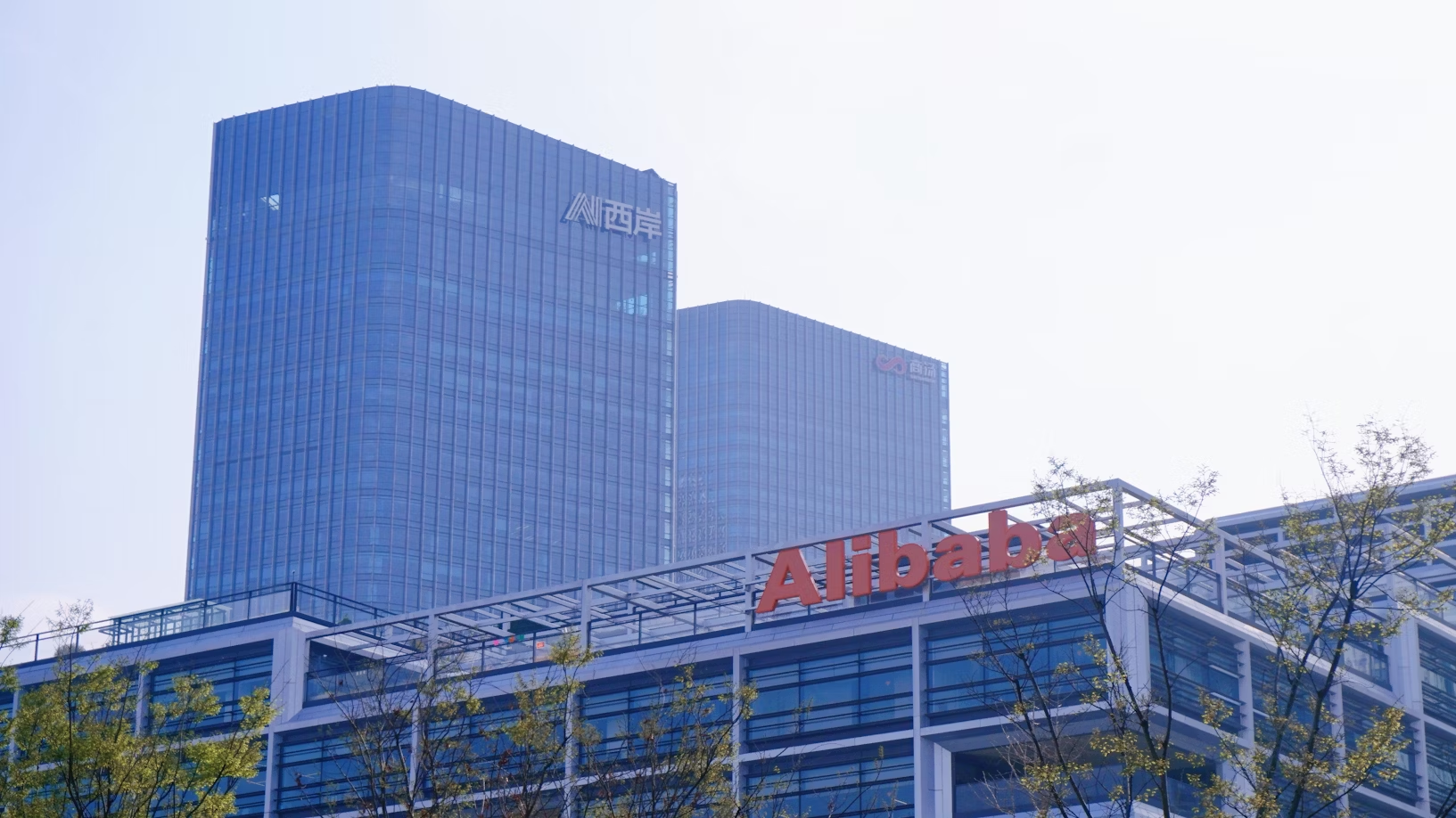 Alibaba Release New Chip and Model